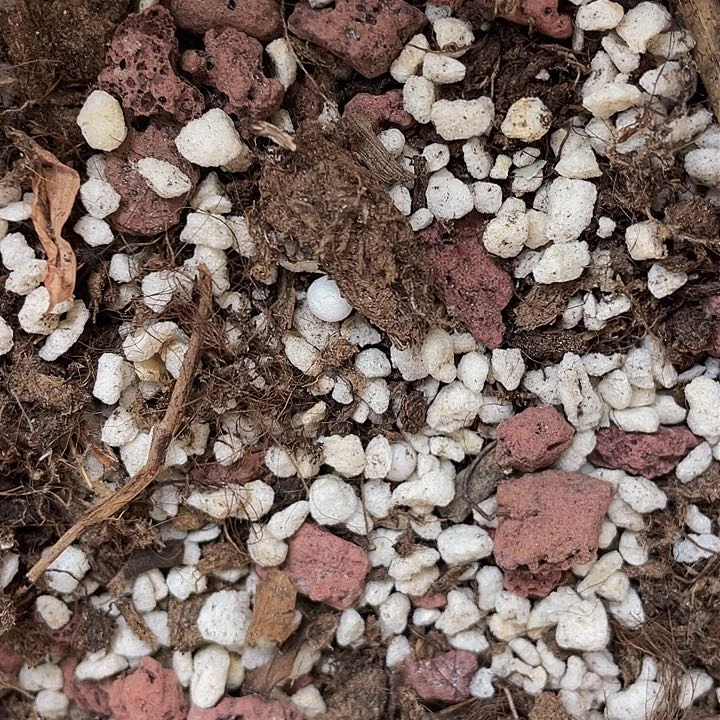 法师专用养护3.5约4斤左右