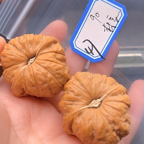 文玩核桃吊坠林**大南瓜