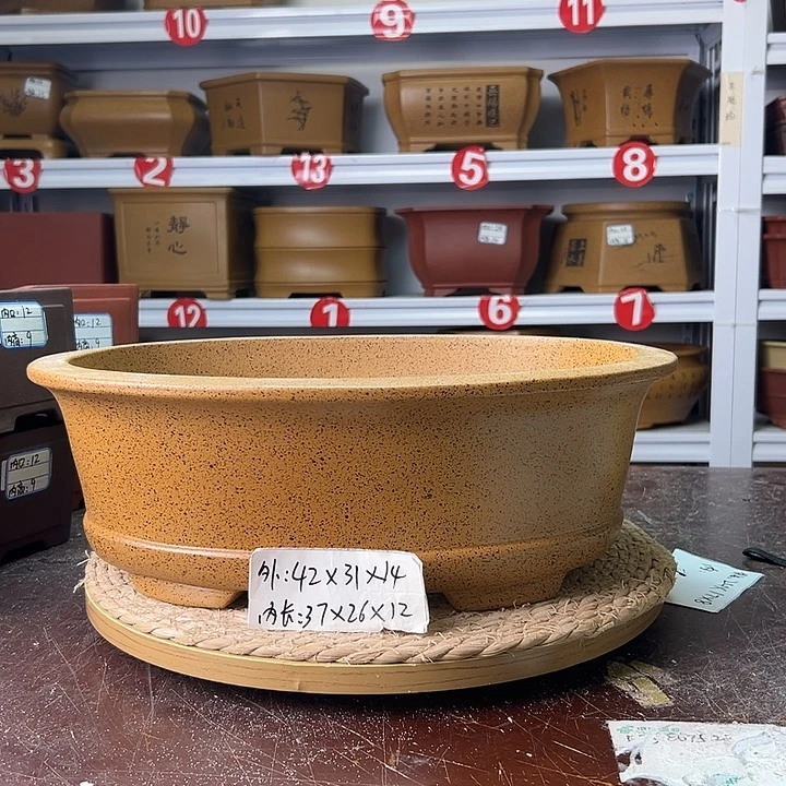 紫砂花盆蛇年大吉