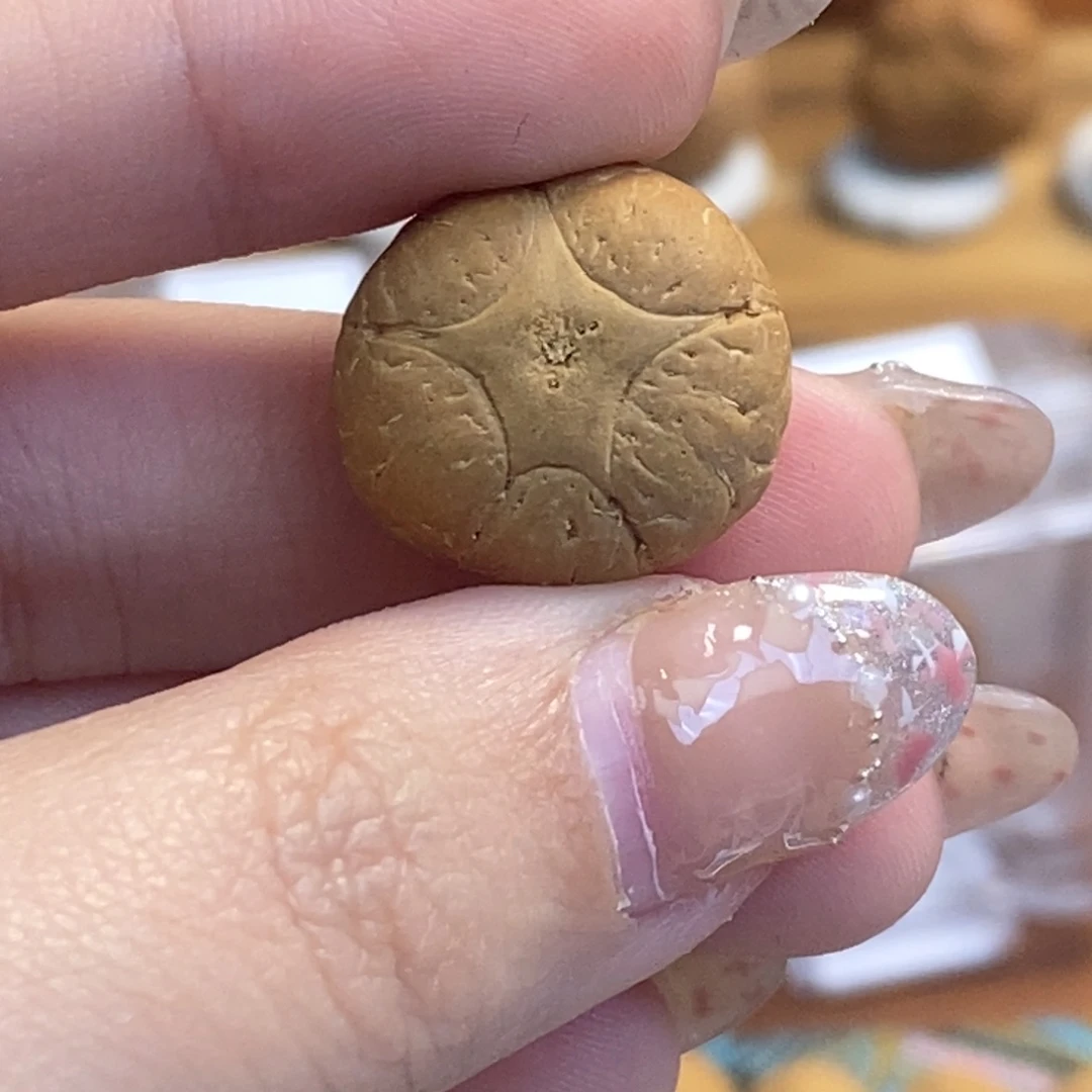 吊坠凤眼菩提五星