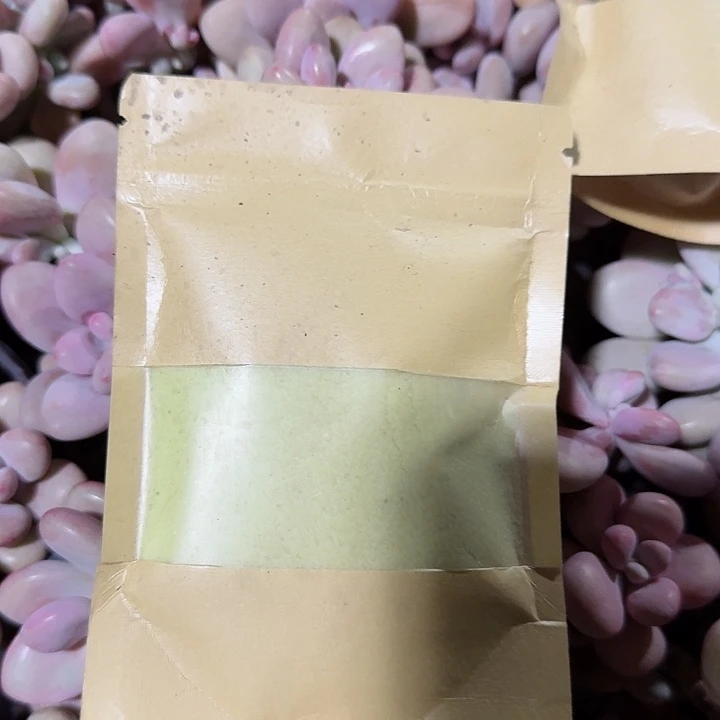 小苗肥多肉植物精品