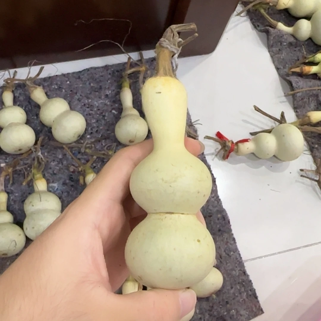 鑫***业葫芦sjsnensnzjsnsnsnsn