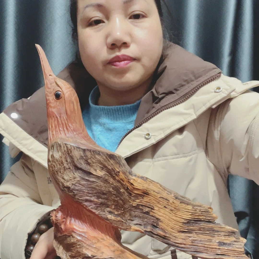 如**生百年树的生长环境