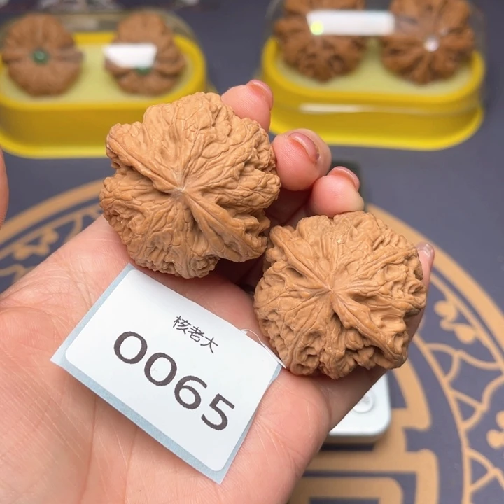 文玩核桃把件43大粗筋
