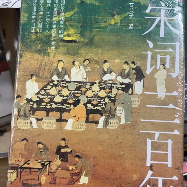宋词三百年精装书籍
