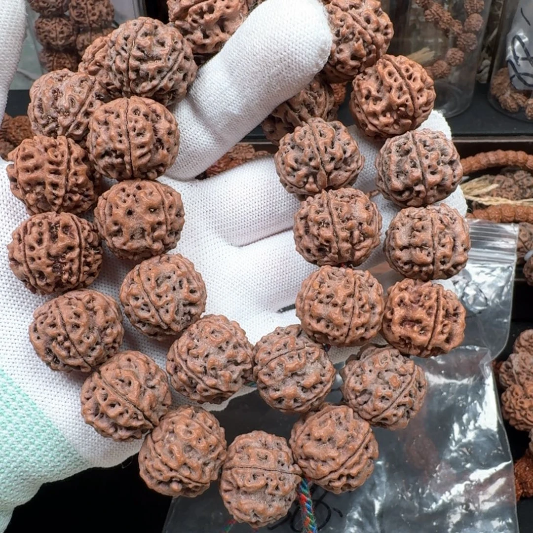 金刚菩提手串21雪山铁籽