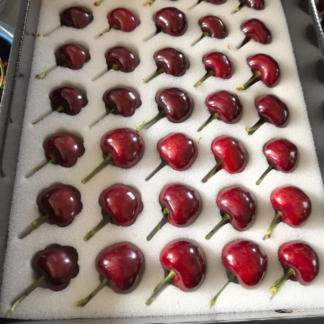 大连美早樱桃4J5J7J礼盒包装 顺丰空运包邮