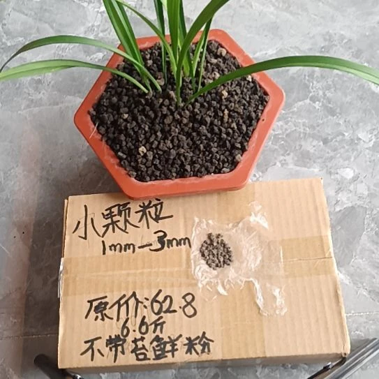 老***李兰菌黑山土小颗粒6.6斤