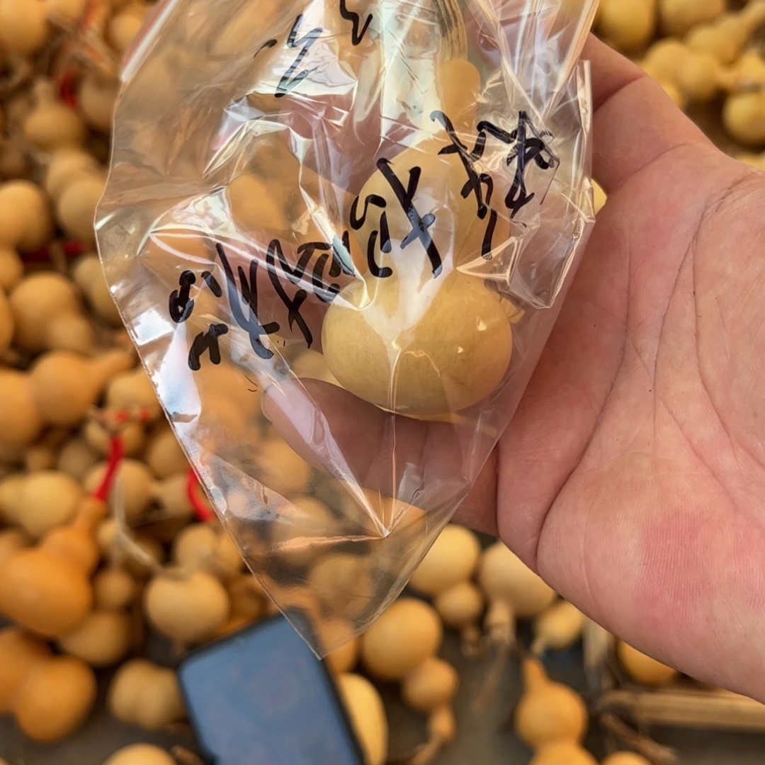 快***猫木质是来咯旅途咯哦图健健康康