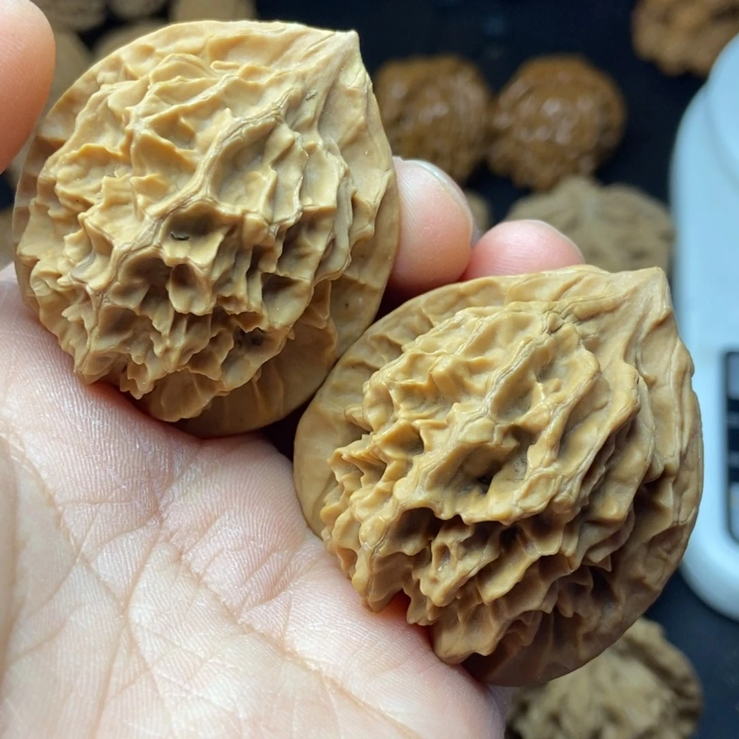 秦岭核桃帝王大花24号链接242424