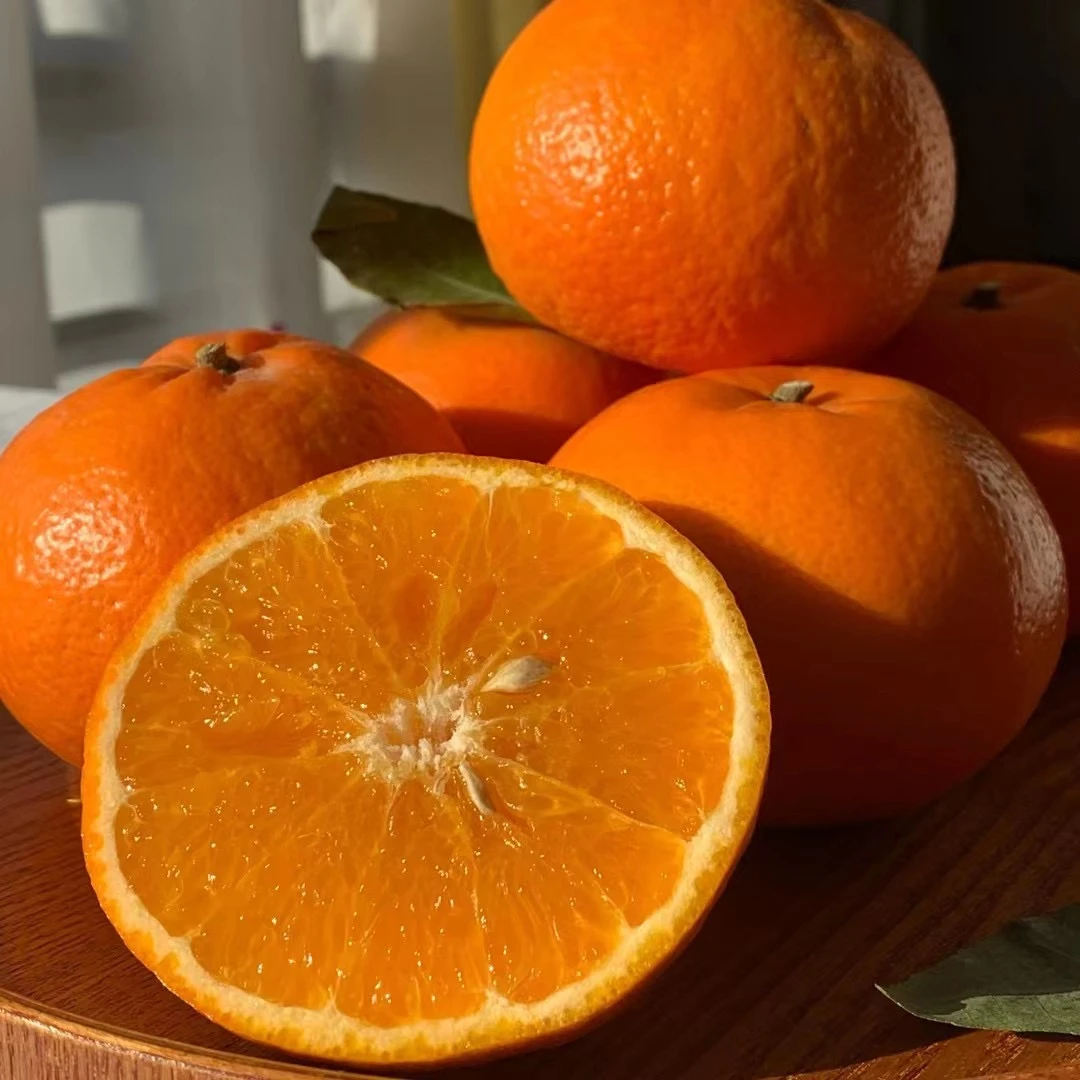 云南高原新鲜现摘送货清甜多汁当季水果皮薄肉厚爽口柑橘产品发货