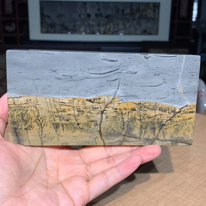 广西国画石摆件，观赏收藏