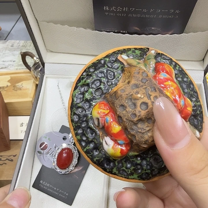 茶宠哈哈哈哈哈哈哈哈哈