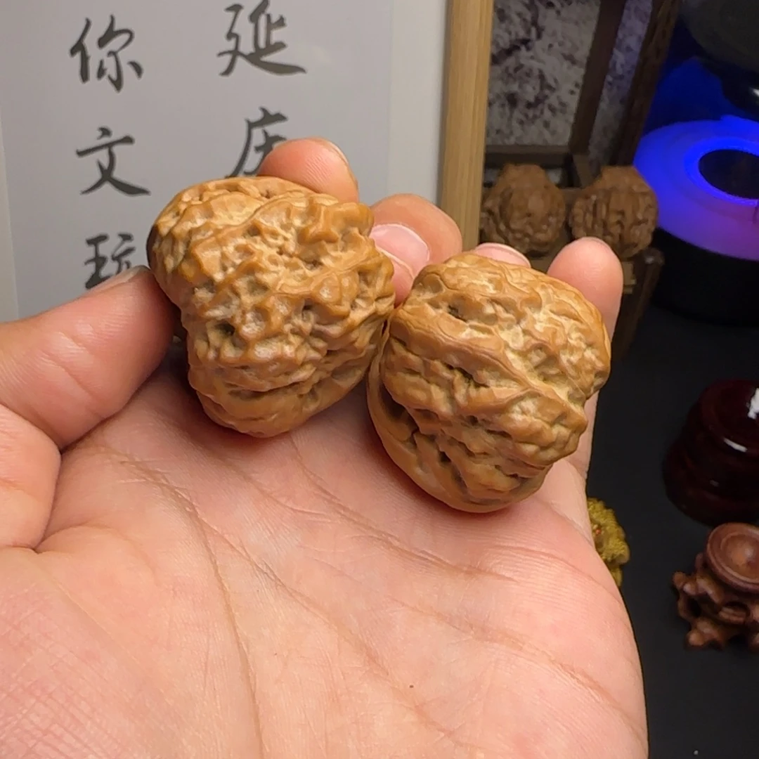 M****37✖️38蛤蟆头红皮