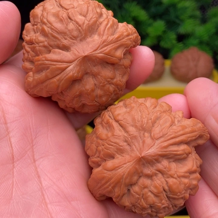 龙鼎50全品1111111111