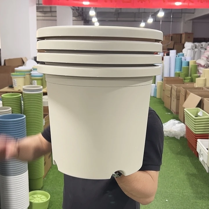 正品四季口32高28米色四只无托