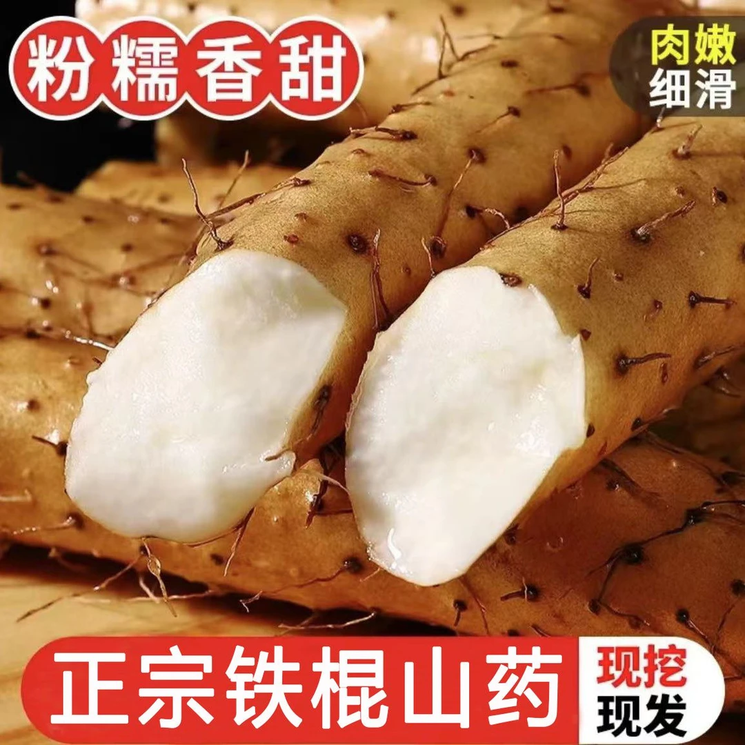 3斤装断节铁棍山药粉糯香甜铁杆山药 10-30 cm 蠡县小白嘴山药