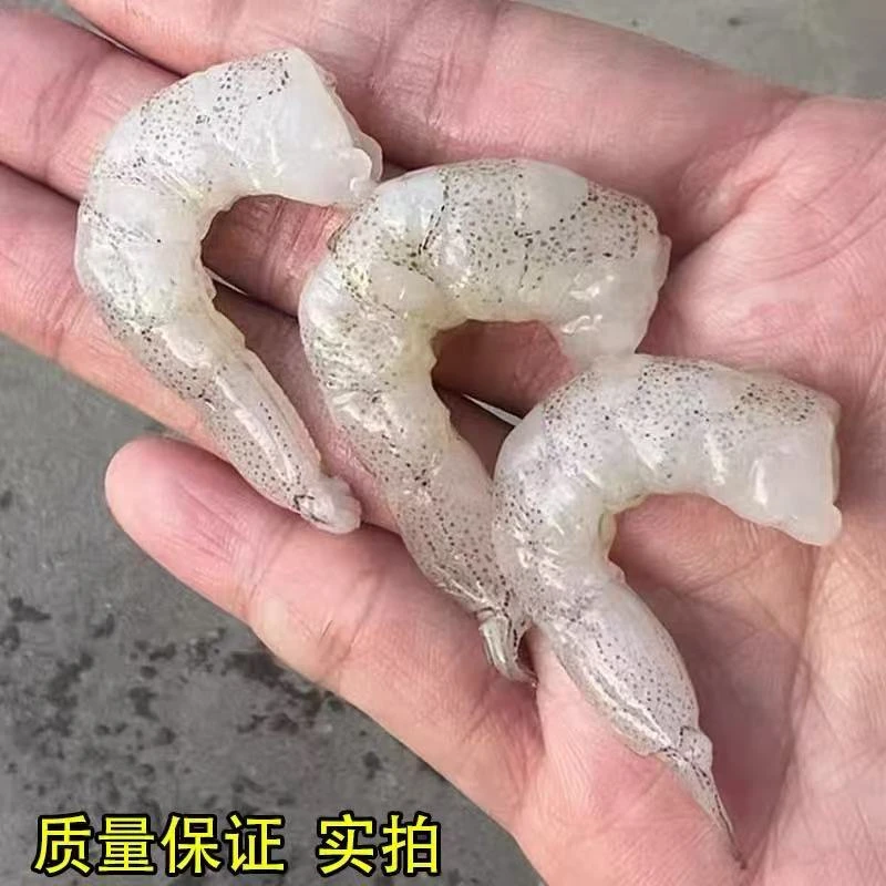 连云港发货  海鲜羊毛虾 到手三斤