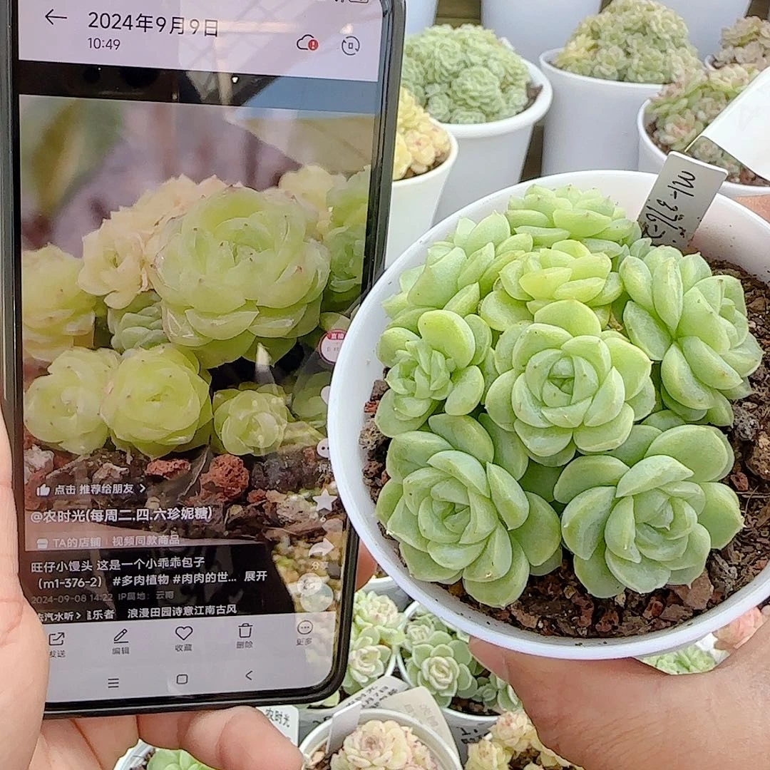 1107-24（m1-376-2）优选