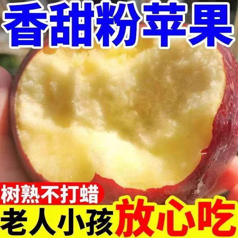 【爆甜】陕西高山秦冠苹果水果新鲜当季粉面香甜包邮整箱脆粉两吃