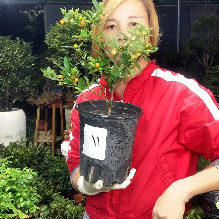 完全开放45855488888