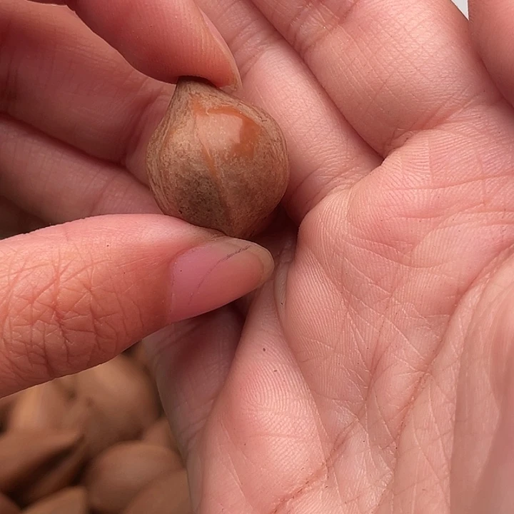 峰***茂橄榄核手串/手链橄榄