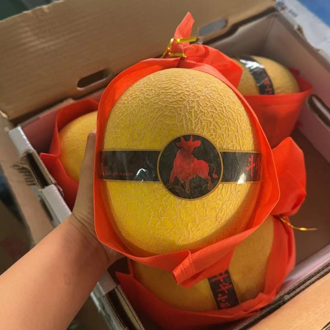 黄金哈密瓜1个
