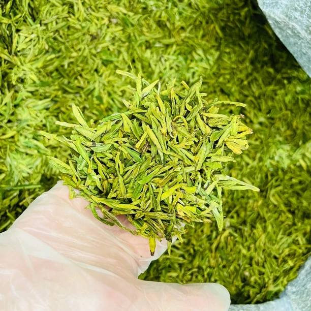 2025年220浙江高山口粮龙井（满口豆香，茶香醇厚）