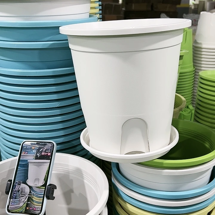 正品圆控口24高24白色8只带托