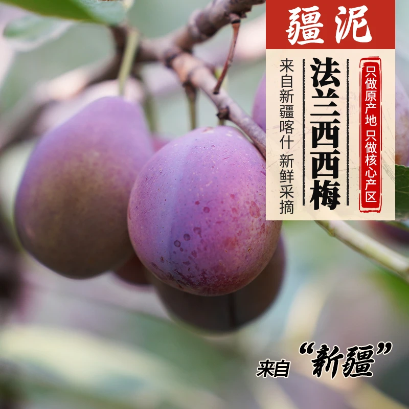 【新疆直发】新疆法兰西西梅【顺丰包邮】