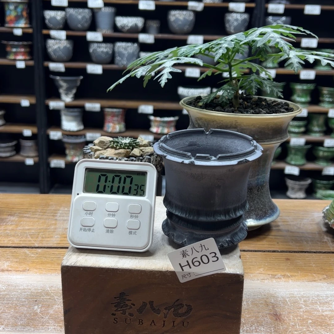 素八九陶瓷内口8高9.5葛*爷