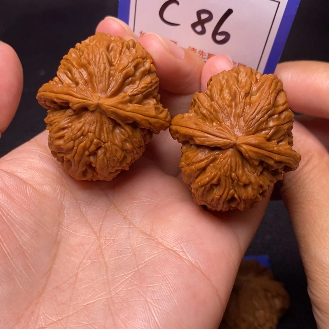 文玩核桃把件38全品白狮子c86