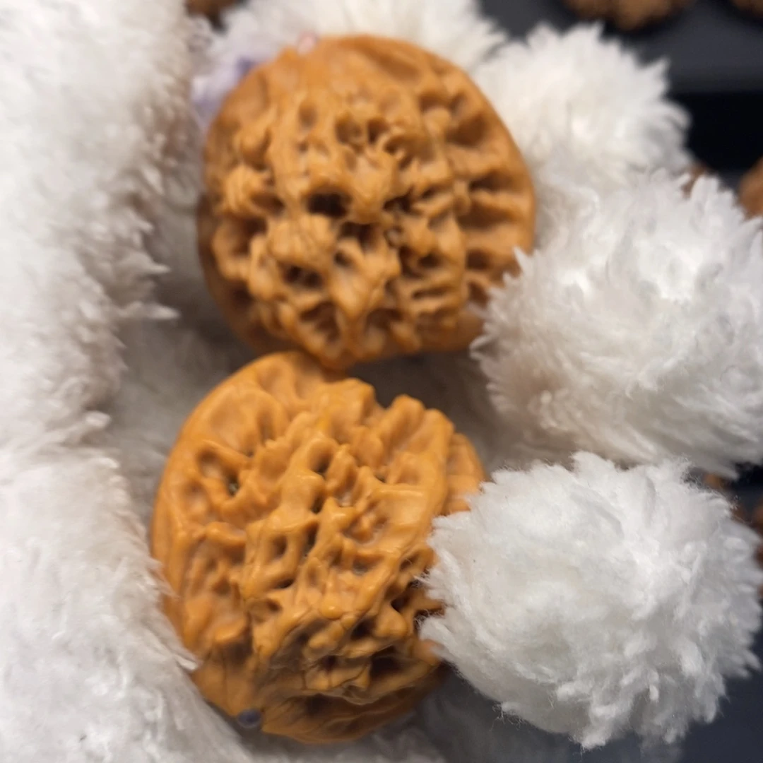 用****8秦岭森林中发现过