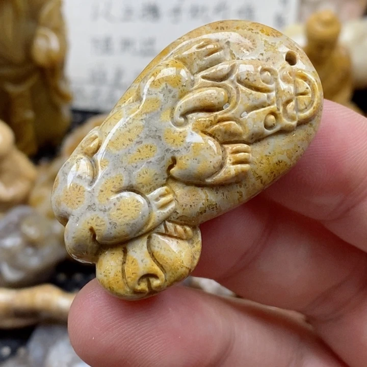 颈饰未镶嵌硅化珊瑚（珊瑚玉）小