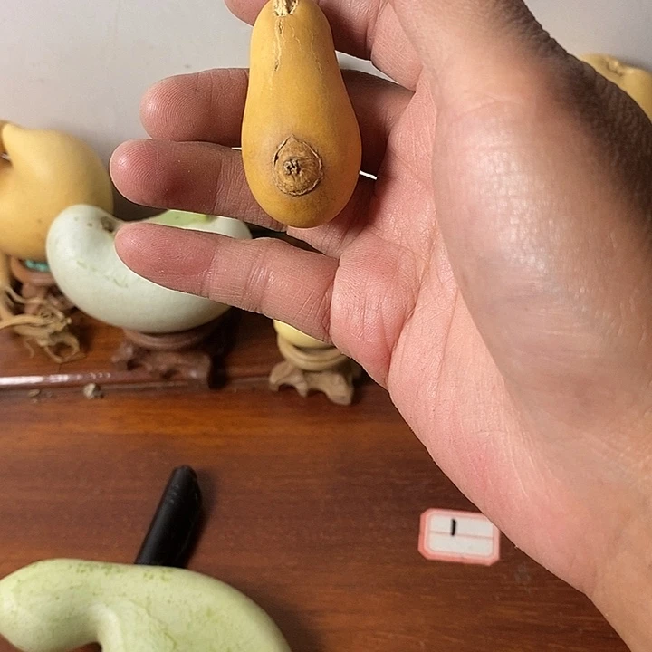 蒋***呀青皮腰子葫芦手把件葫芦