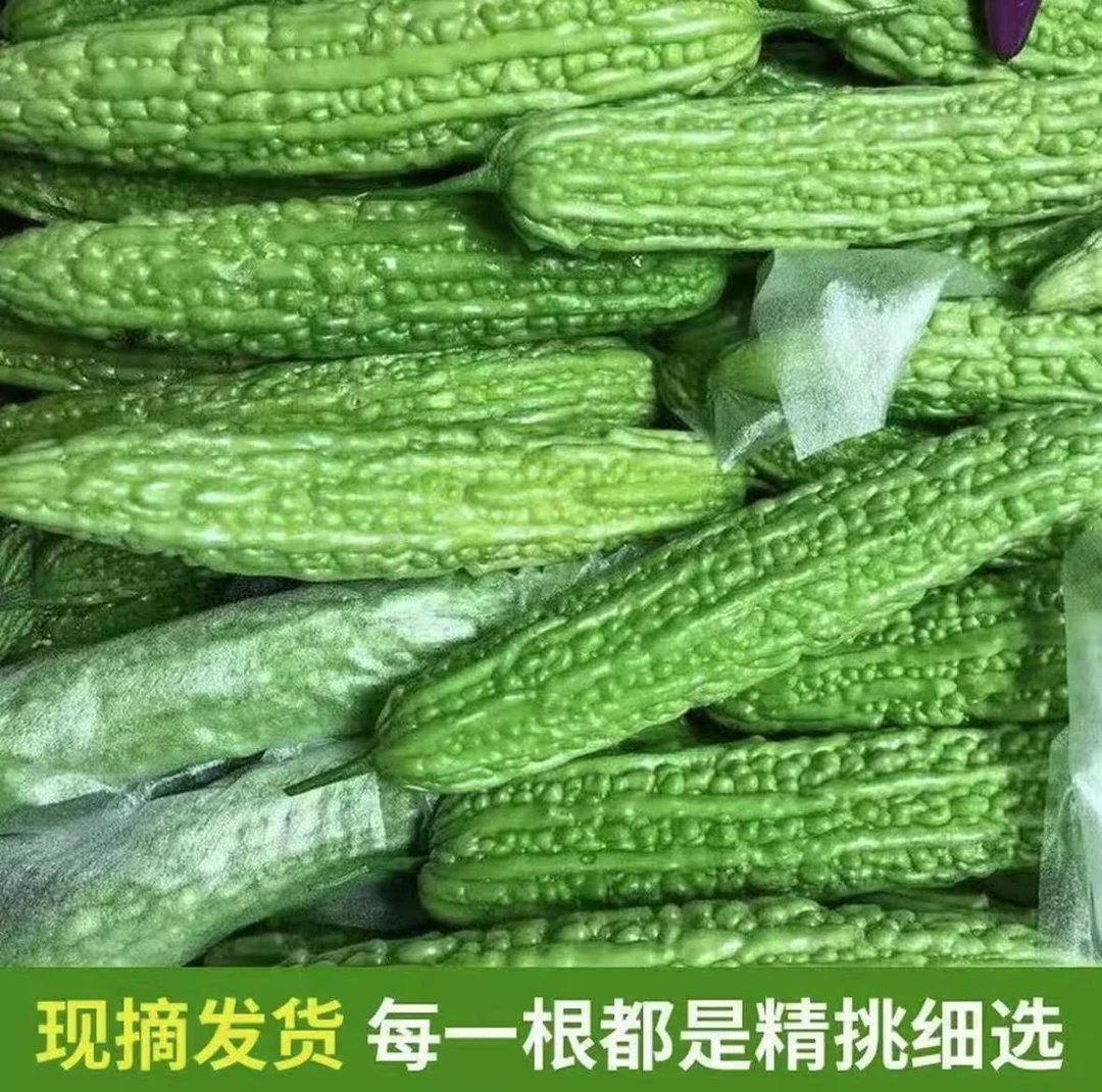 【顺丰包邮】农家自种苦瓜