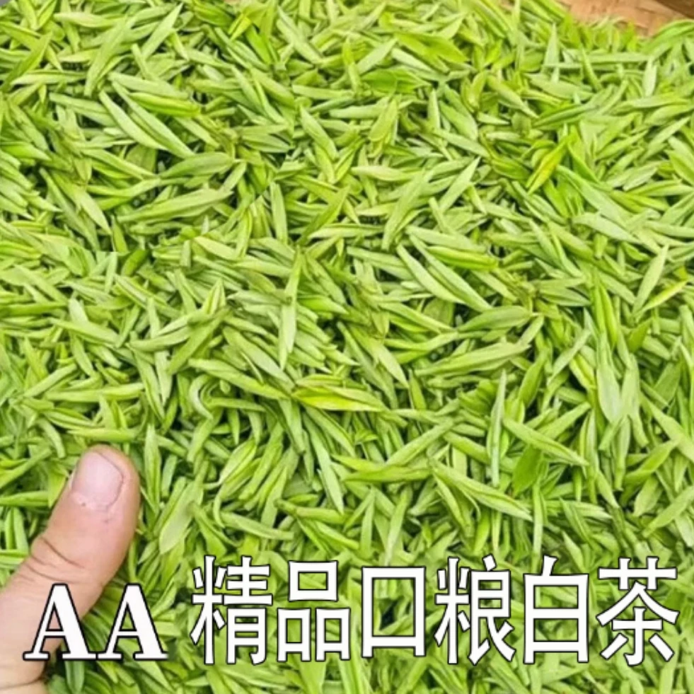 2025新茶【精品口粮白茶】春茶二芽高山白茶兰花香正宗绿茶自己喝