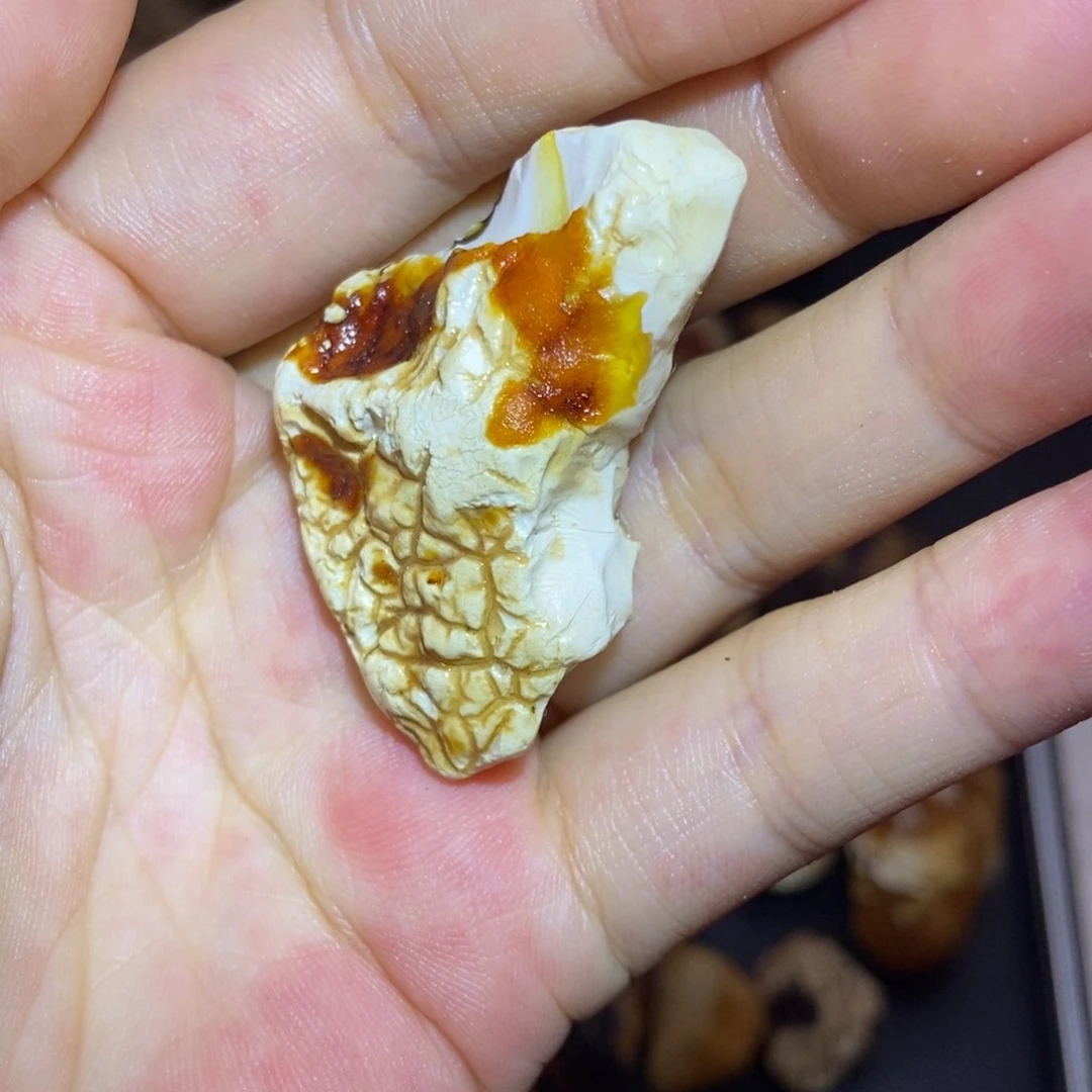 定制琥珀未镶嵌定制