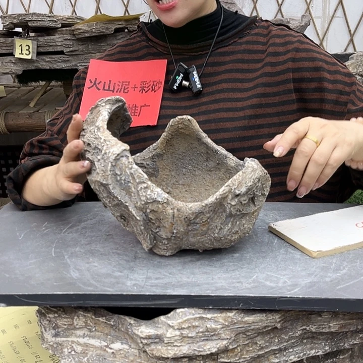 盆景异性花盆鱼缸P2-001