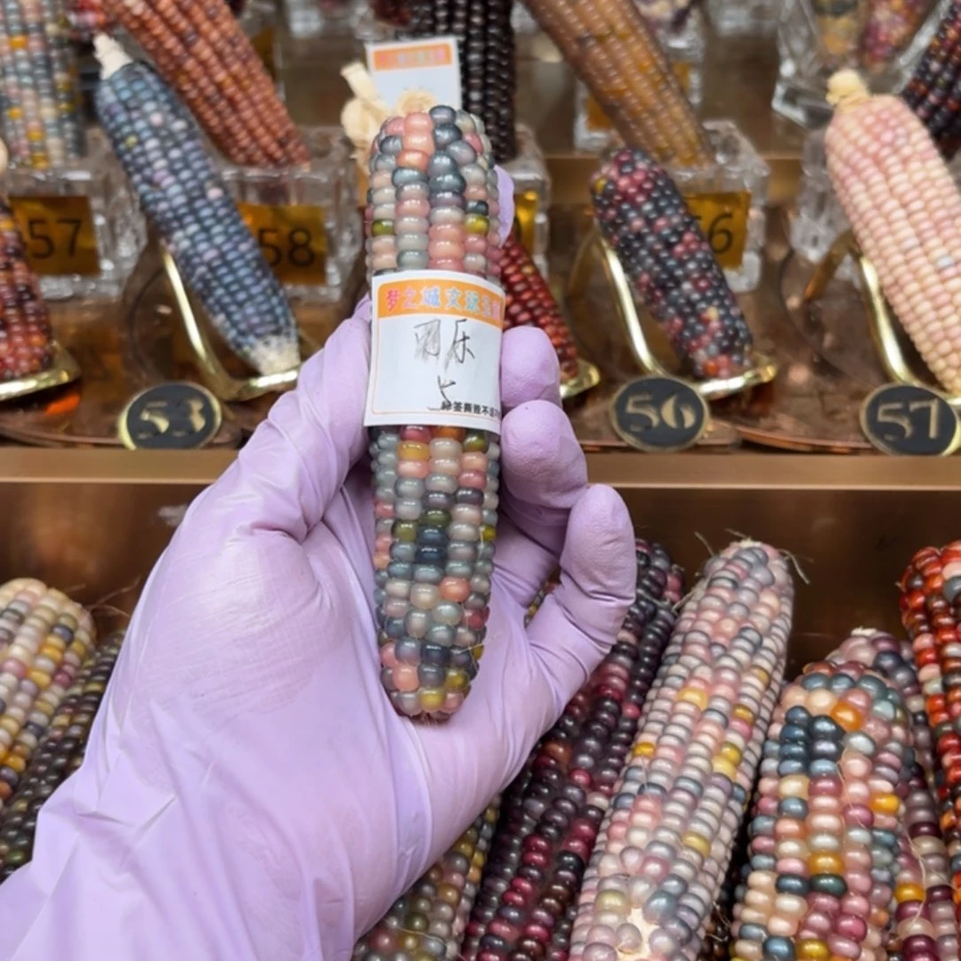 柏香籽/百香籽吊坠-*乐