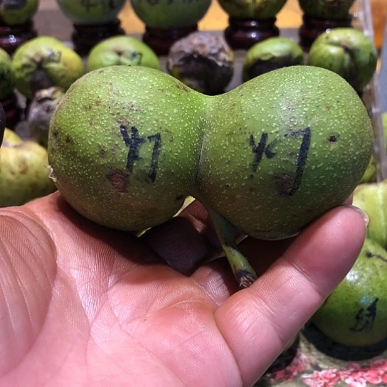 吊坠桃核核桃核桃