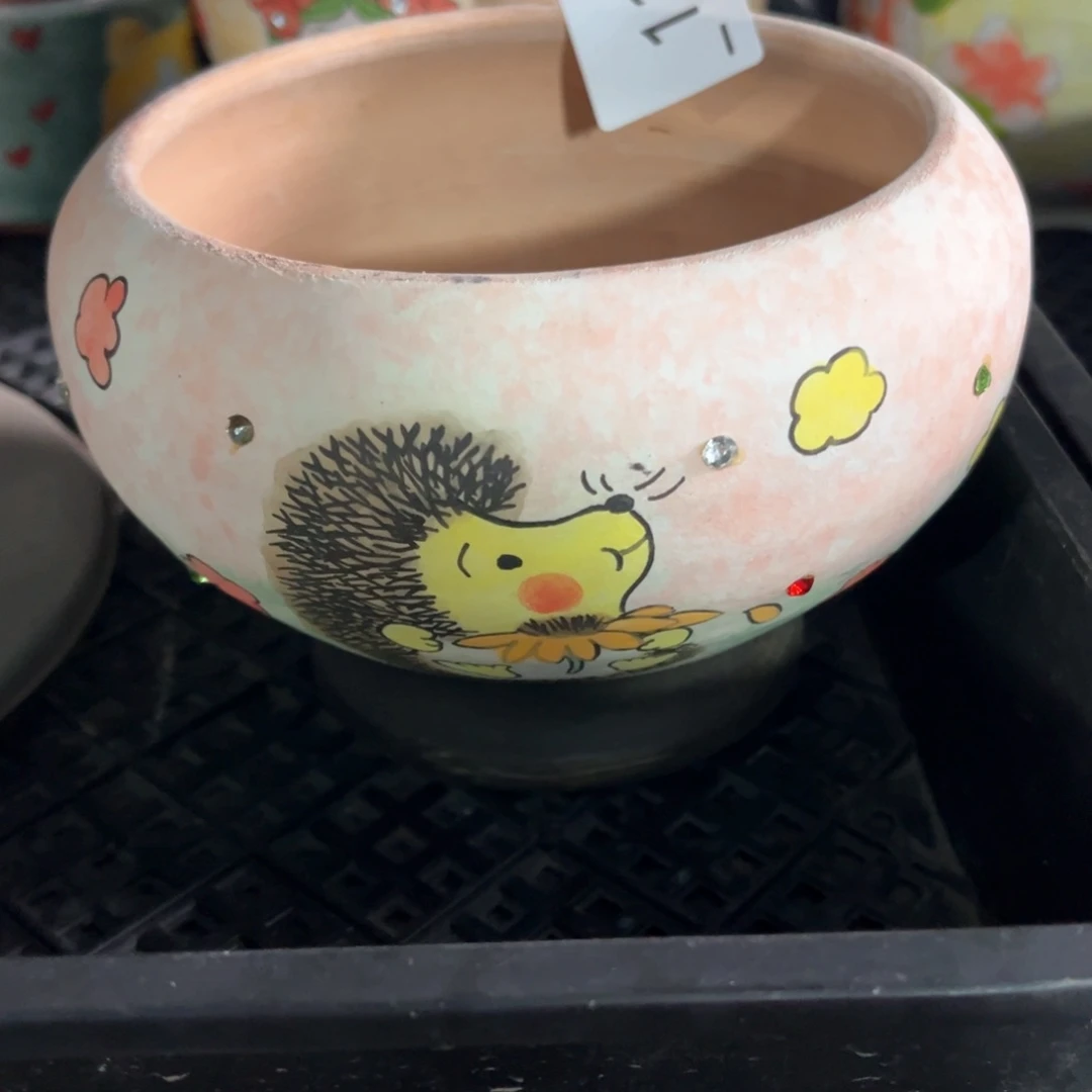 红陶李*媚123花盆1个