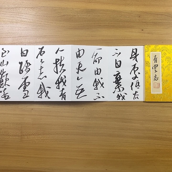 书法中书协会员作品