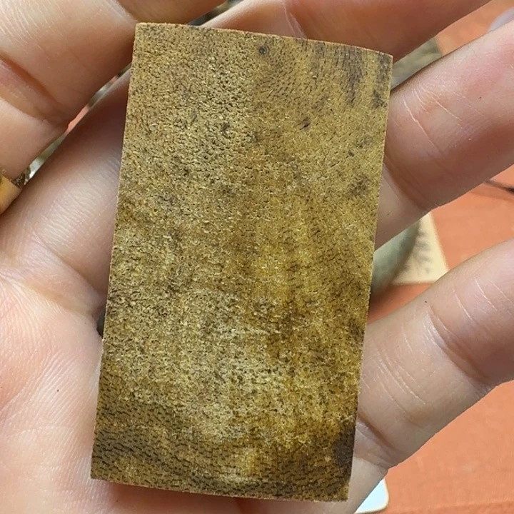 大叶紫檀（黑酸枝木类）