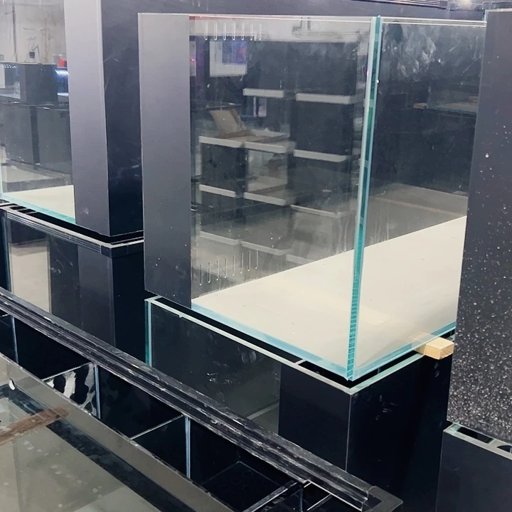 “***”玻璃80.45.45背双进双出