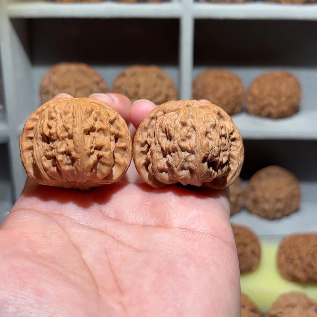 二***哈文玩核桃把件41 尺白狮子