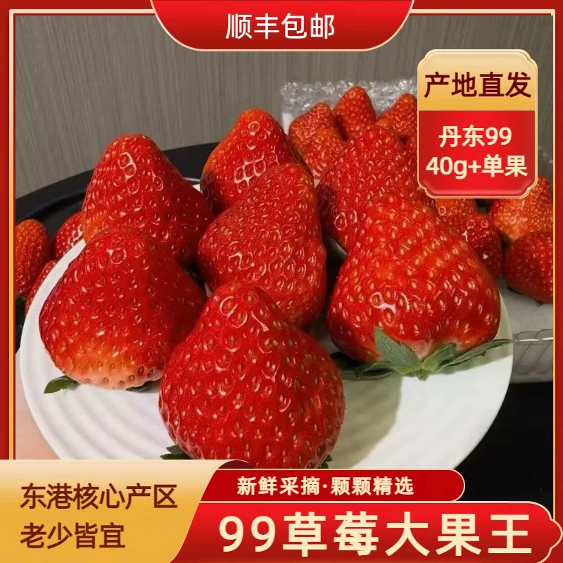 【果王】丹东99草莓都单果40g+超大牛奶草莓2斤3斤东港产地顺丰包邮