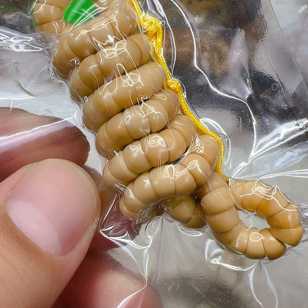 龙脊菩提手串117龙脊菩提大肠6-108