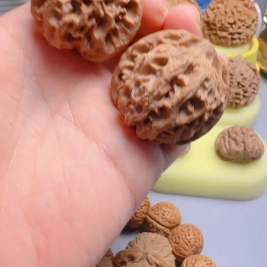 T***R40尺苹果园狮子头