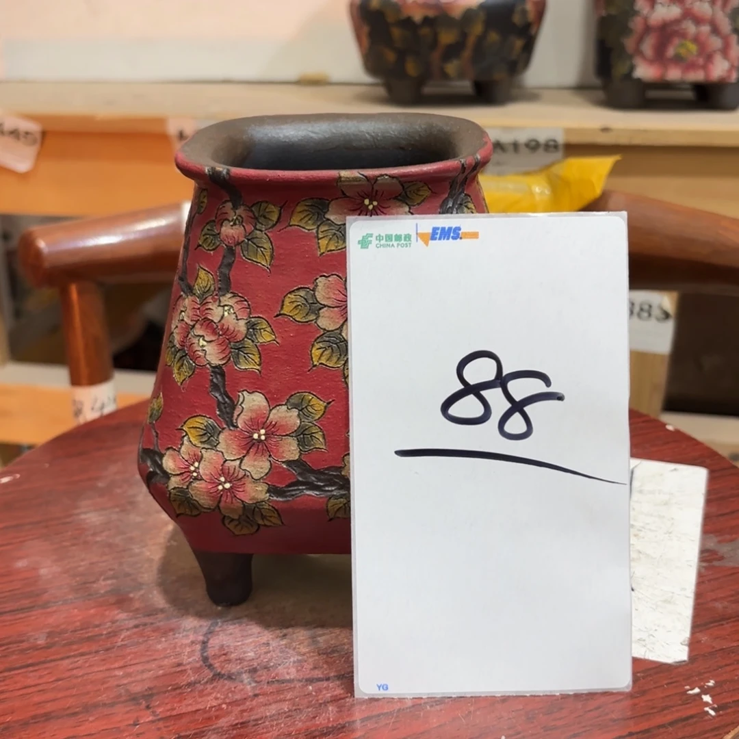 猫****哈哈哈哈哈哈哈哈